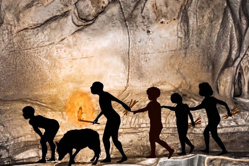 Pine Twig Torches Lit the Way for 14,400-Year-Old Cave Explorers