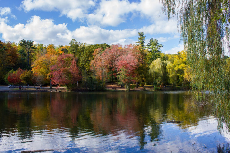 Saw Mill River Daylighting: How Yonkers Reclaimed a Buried River