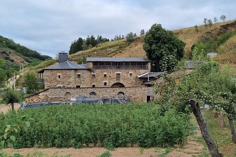 18th-Century Wine Cellar Discovered Beneath El Bierzo Priory Farm