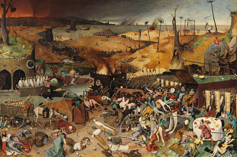 Black Death Mystery Solved: Tree Rings Reveal the Real Trigger