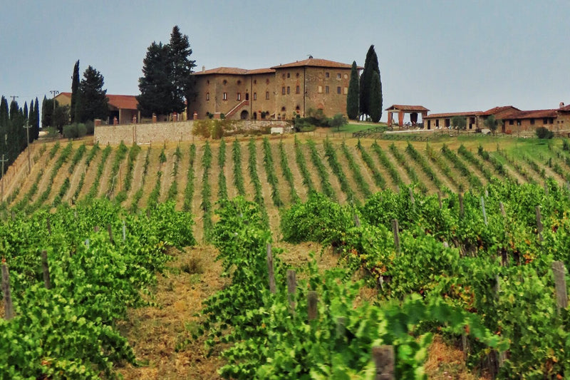 Tuscany Wine Heist: 30,000 Bottles Stolen in $5.4M Raid