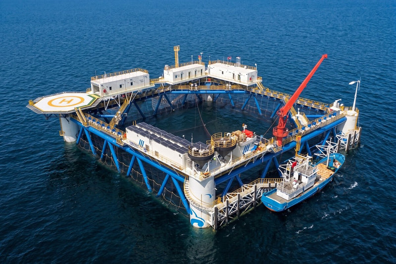China's 100 kW Floating Solar Platform Built with Bamboo