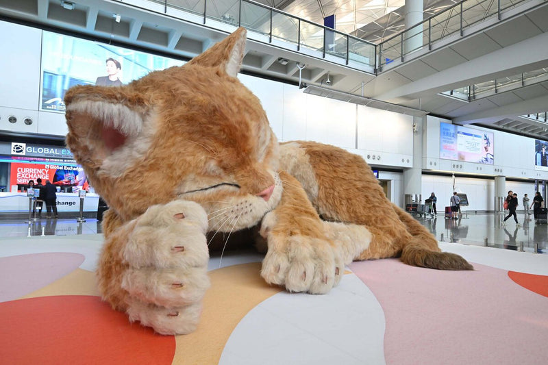 Hong Kong Airport's Giant Interactive Cat: A New Passenger Draw