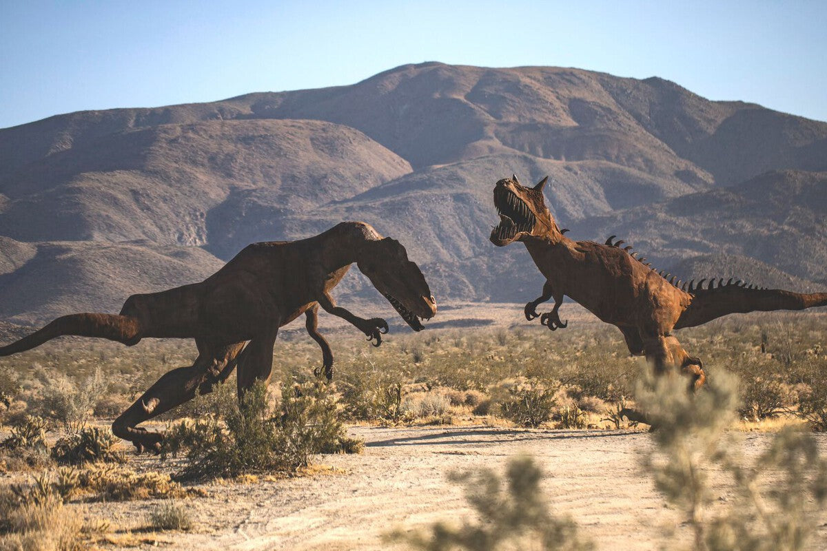 Asteroid Killed Dinosaurs, Fungi Finished the Job: The Theory That Explains