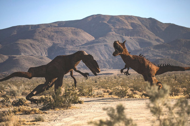 Asteroid Killed Dinosaurs, Fungi Finished the Job: The Theory That Explains