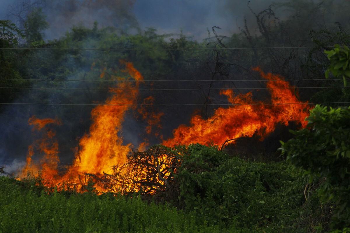 Spain Wildfires: Abandoned Farmland Fuels Bigger, More Destructive Fires