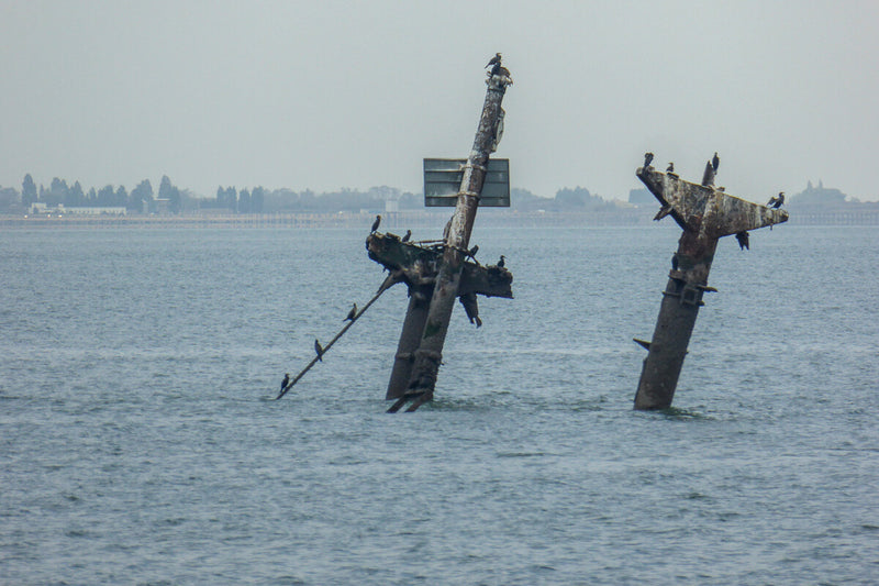 SS Richard Montgomery: 1,400 Tons of Explosives Still Off London