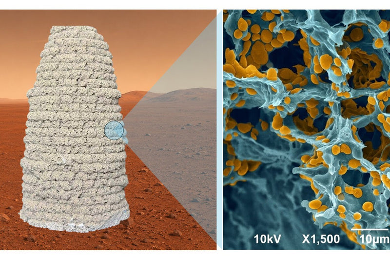 Building on Mars Without Earth Bricks: Gelatin and Yeast Solution