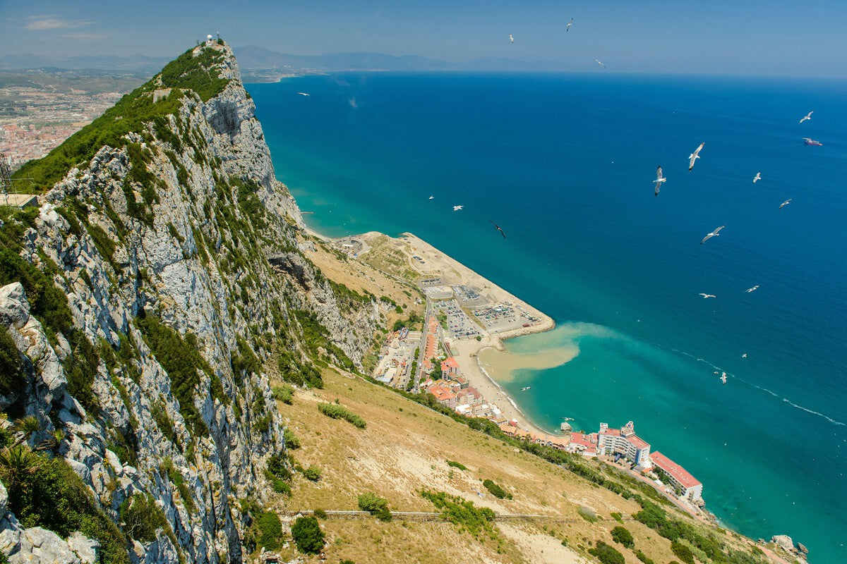 Gibraltar's Artificial Reef: How Sunken Ships Revived Marine Life