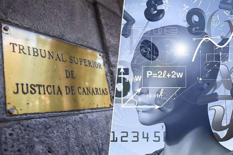Lawyer Fined for 48 AI-Hallucinated Case Citations in Spain