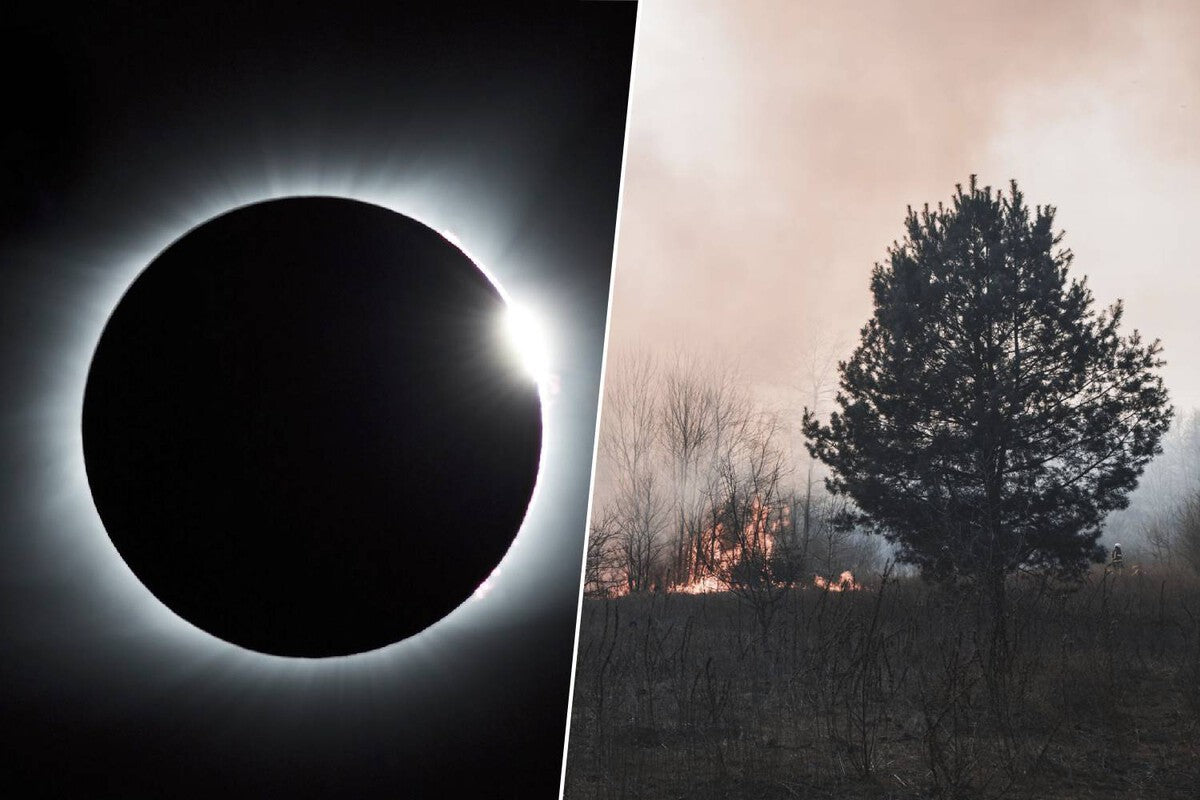 Solar Eclipse Crowds Raise Wildfire Risk, AEMET Warns
