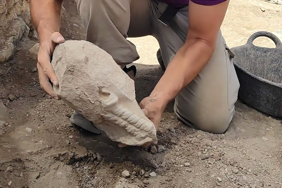 2,400-Year-Old Iberian Head Found in Lezuza May Reveal Lost Necropolis