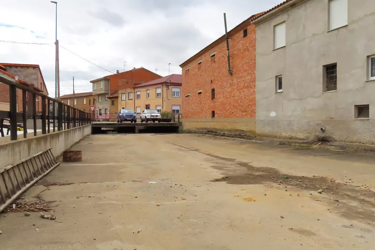 Órbigo Canal Modernization Leaves River Dry and Wildlife at Risk