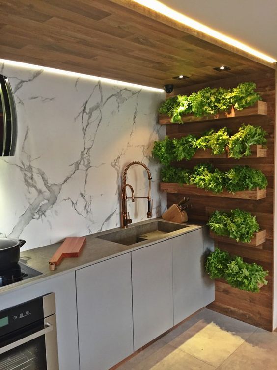 Ideas to Have an Indoor Garden at Home - grandgoldman.com