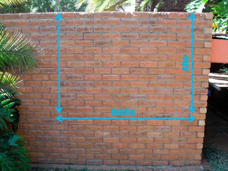 How to Make a Hydroponic Wall Garden - grandgoldman.com