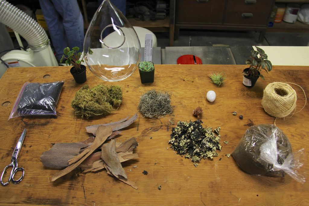 How to Make a Floating Terrarium - grandgoldman.com
