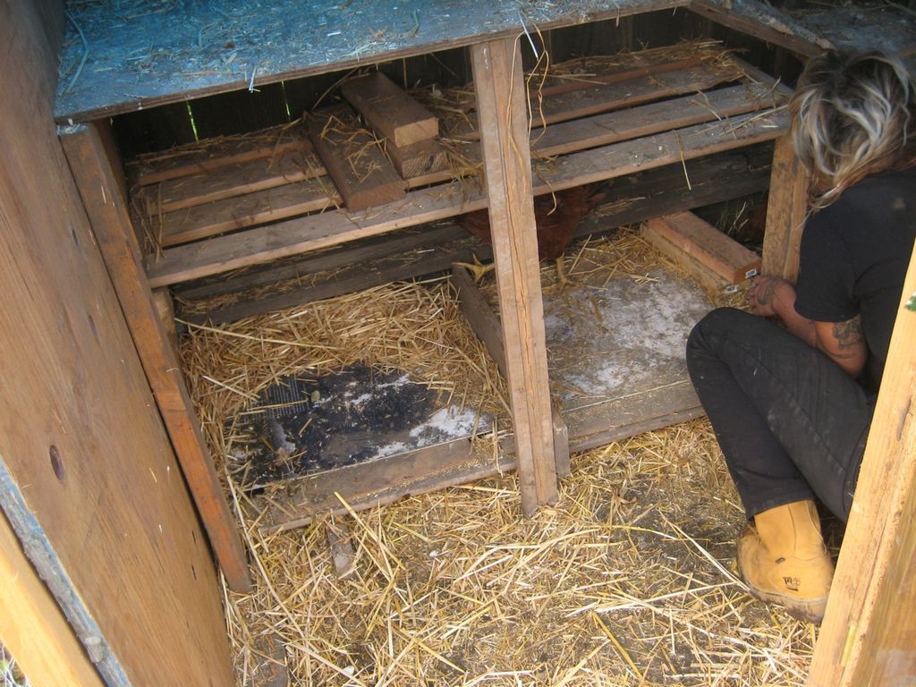 Learn to Trim a Chicken's Wings - grandgoldman.com
