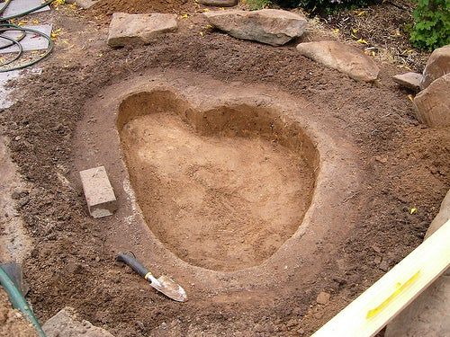 How to Build a Fish Pond - grandgoldman.com