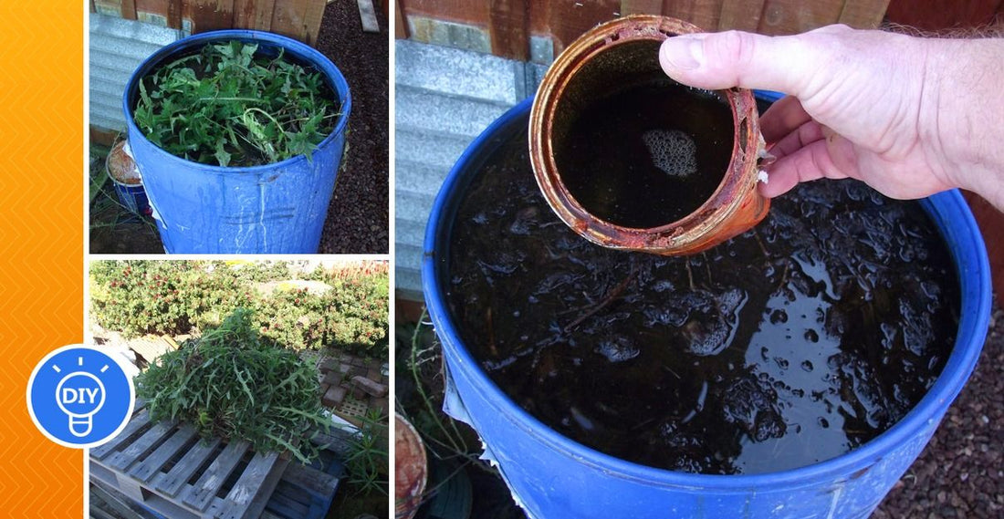 Making liquid fertilizers from weeds - grandgoldman.com