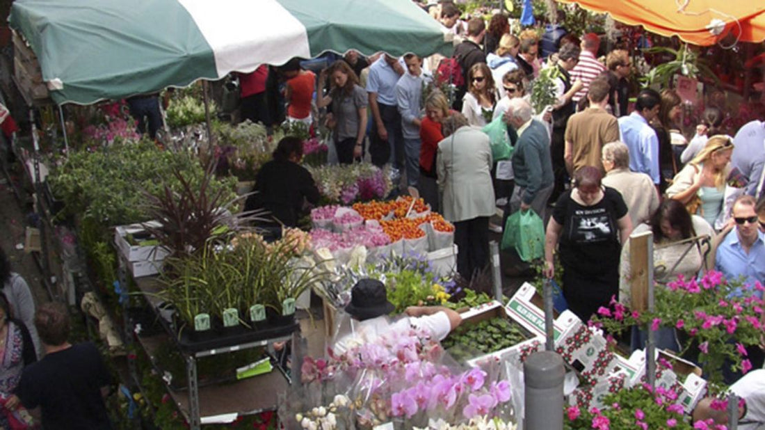 5 insider tips for flower fans in London