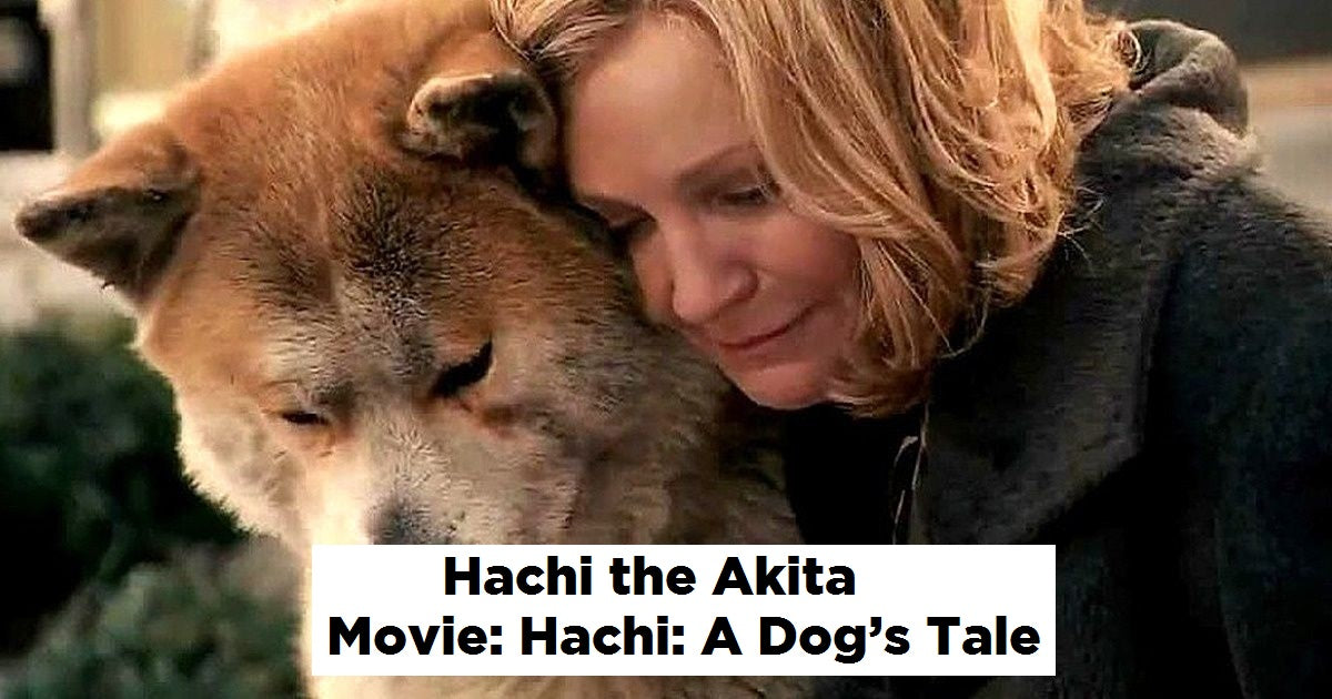 16 Actors From Animal Kingdom Who Undoubtedly Deserve A Pawscar For Their Acts - grandgoldman.com