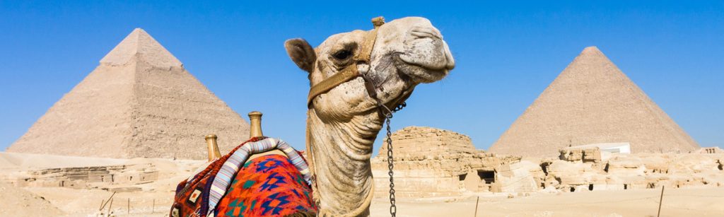 Which vaccinations do I need to travel to Egypt?