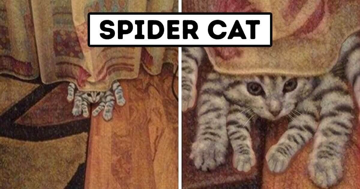 20 Cats Have Taken Their Job To Troll Their Owners Too Seriously - grandgoldman.com