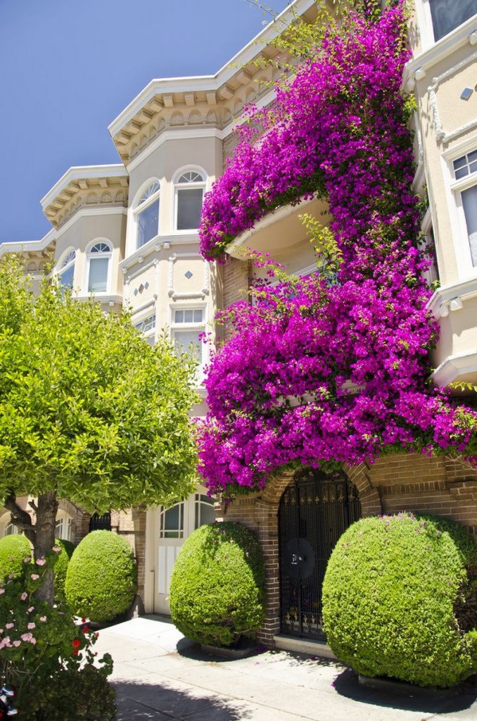 Balconies with Natural Views: Complete Guide to Decorating Your Outdoor Space - grandgoldman.com