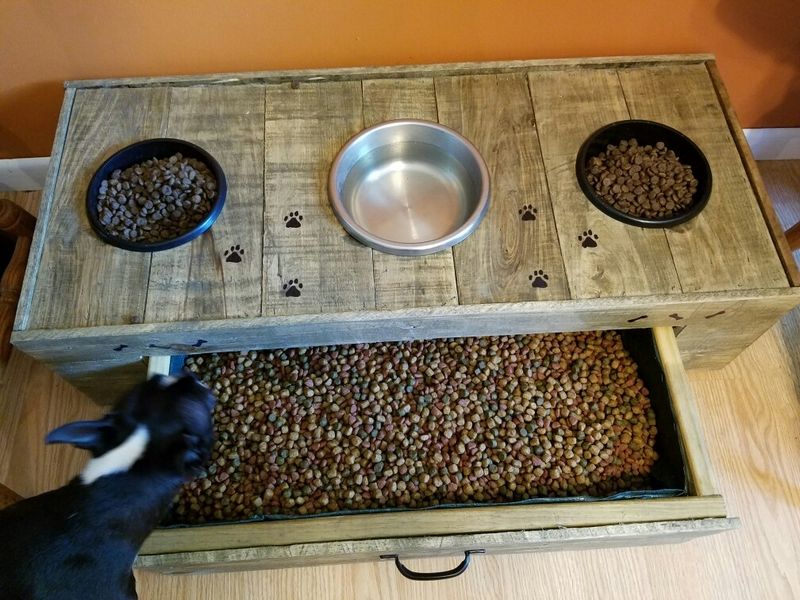 The 10 Best Dog Food Dispensers with Storage - grandgoldman.com