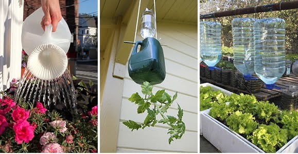 Build your own Self-watering system for your plants! - grandgoldman.com