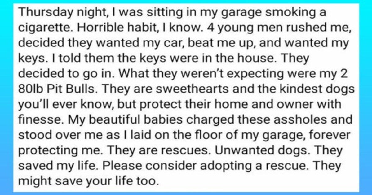 21 Heartwarming Dog Stories And Pictures To Uplift Your Mood - grandgoldman.com
