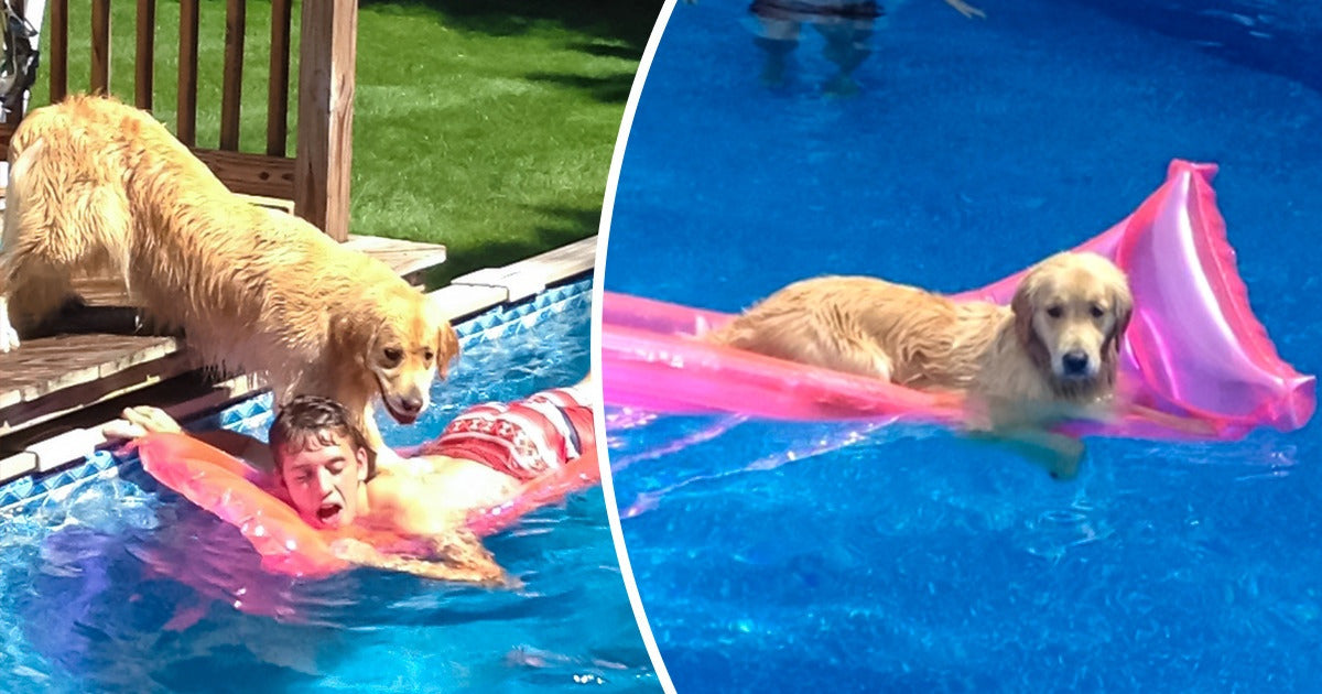 22 Dorky Animals Who Are Acting Weird To Get Your Attention