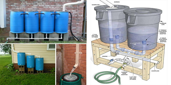Learn how to make a homemade rainwater collection system! - grandgoldman.com