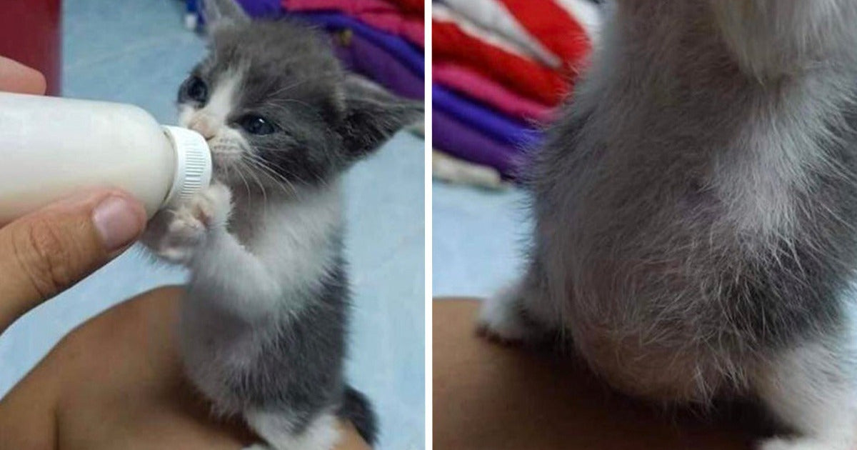 20 Wholesome Pics That Can Light Up Our Day Like Magic