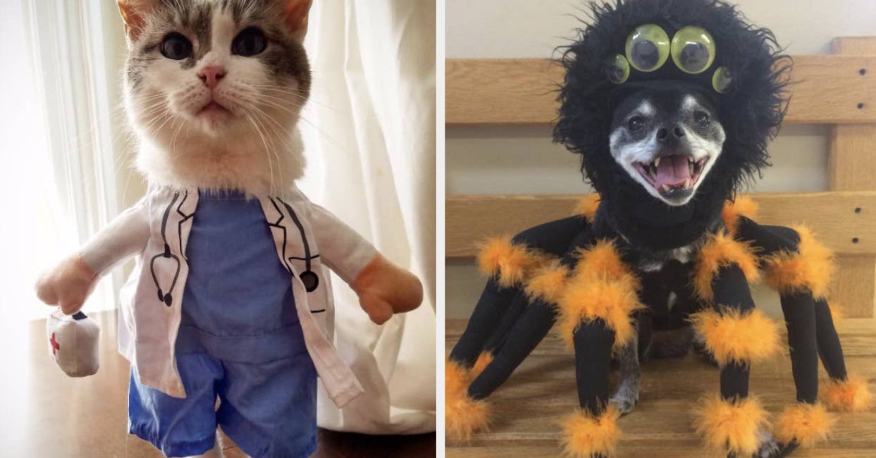 29 Halloween Winning Costume Ideas For Cats And Dogs