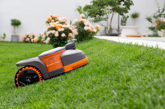 3 Best Robot Lawn Mowers Without Perimeter Wire (Tested) Grand Goldman