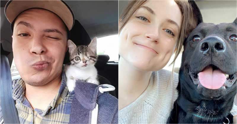 30 Special Photos Of Adopted Animals Who Found Their New Homes - grandgoldman.com