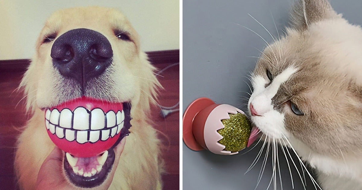 15 Hilariously Unique Items That Can Make Your Pet’s Life Fun