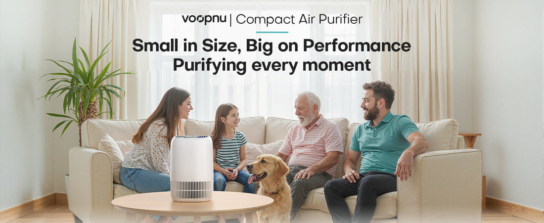 VOOPNU Generic Compact 360 H13 Intake Air Purifier Review - grandgoldman.com