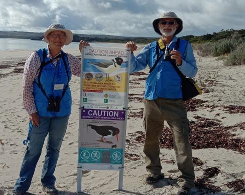 Bird Flu Australia: How Volunteers Track H5N1 Outbreak