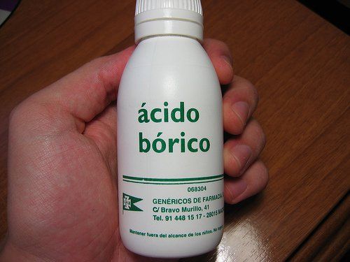 Get rid of cockroaches with boric acid - grandgoldman.com