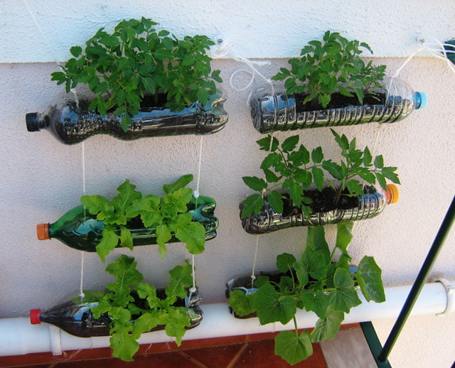 24 Plastic Bottle Planters: Creative Ideas for Recycling - grandgoldman.com