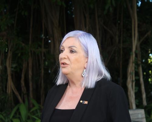 NT Minister’s Groundwater Claim on Magnetic Poles Sparks Backlash