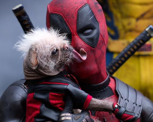 Deadpool Must Grow Up to Be a True Marvel Superhero