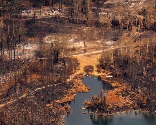 Canada Wildfires: Over 900 Blazes Rage Across the Country