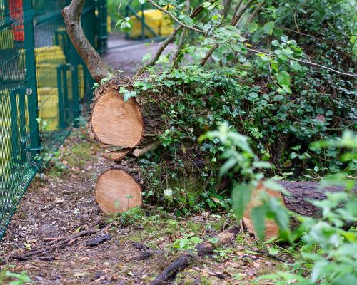 UK Planning Flaws Let Developers Bypass Nature Laws for £1