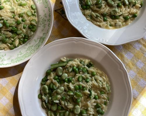 Orzo With Peas Broad Beans Asparagus Parmesan Lemon Recipe - grandgoldman.com