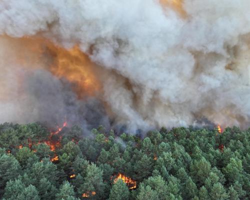 France Wildfire Near Paris: Firefighting Planes Battle Blaze