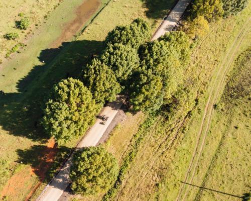 Northern Rivers Rail Trail: 135km Vision from Canefields to Coast