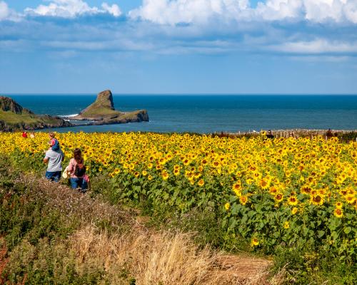 20 Brilliant UK Family Days Out for Summer Adventures